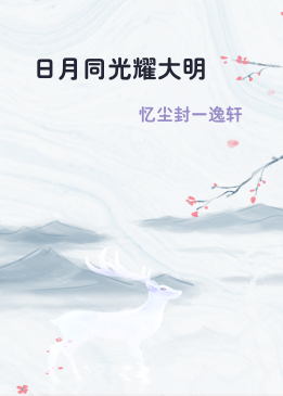 日月同光耀大明