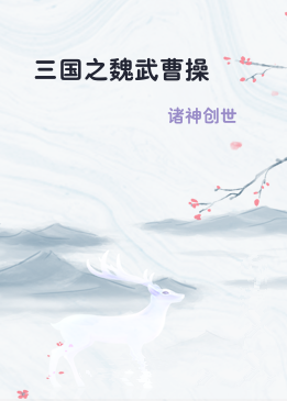三国之魏武曹操
