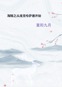 海贼之从庞克哈萨德开始