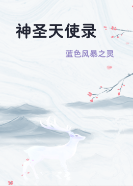 神圣天使录