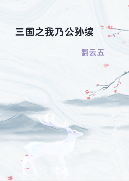 三国之我乃公孙续