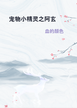 宠物小精灵之阿玄