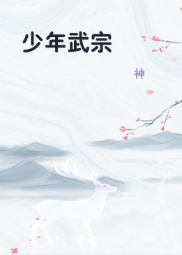 少年武宗