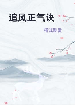 追风正气诀