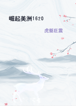 崛起美洲1620