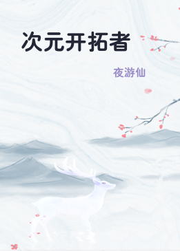 次元开拓者