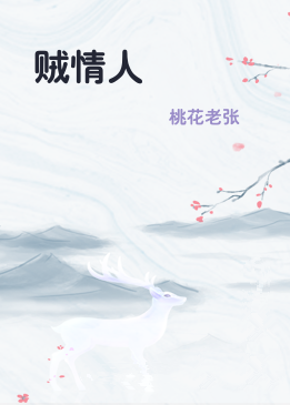 贼情人
