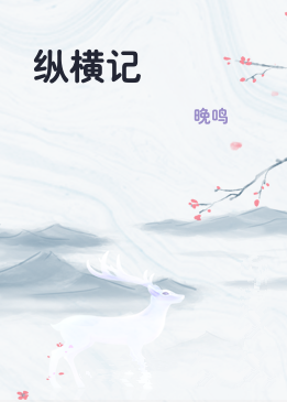 纵横记