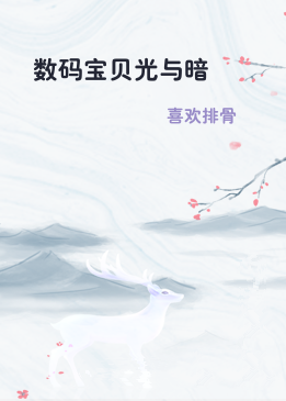 数码宝贝光与暗