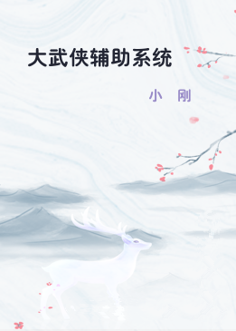 大武侠辅助系统