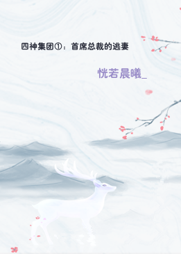 四神集团①：首席总裁的逃妻