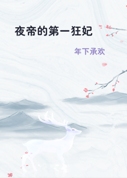 夜帝的第一狂妃