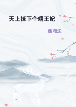 天上掉下个靖王妃