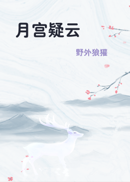 月宫疑云