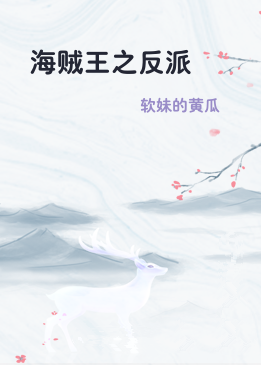 海贼王之反派