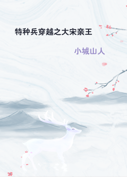 特种兵穿越之大宋亲王