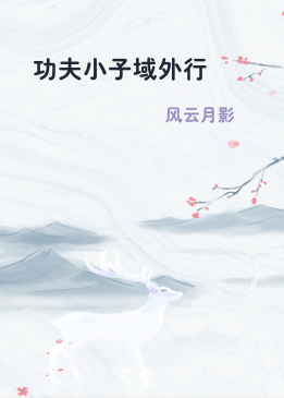 功夫小子域外行