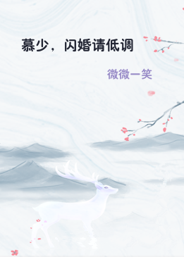 慕少，闪婚请低调