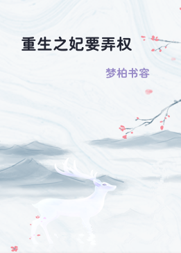 重生之妃要弄权