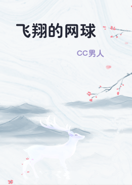 飞翔的网球