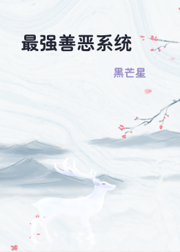 最强善恶系统