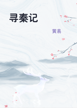 寻秦记