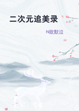 二次元追美录