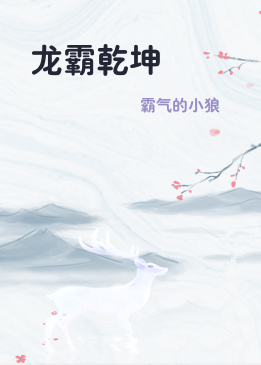 龙霸乾坤