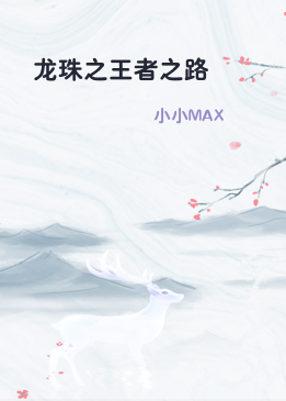 龙珠之王者之路