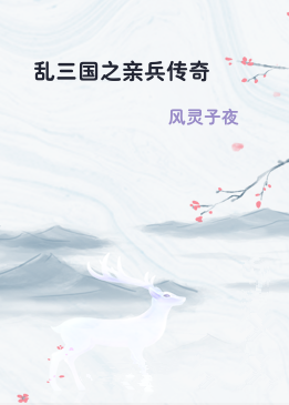 乱三国之亲兵传奇