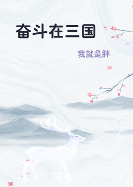 奋斗在三国
