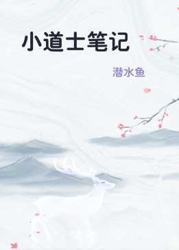 小道士笔记