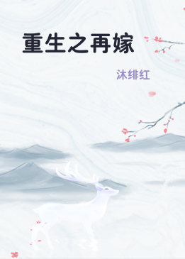 重生之再嫁