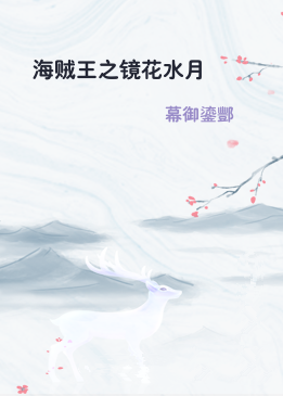 海贼王之镜花水月