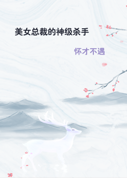 美女总裁的神级杀手