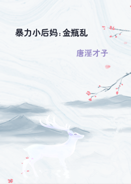 暴力小后妈:金瓶乱