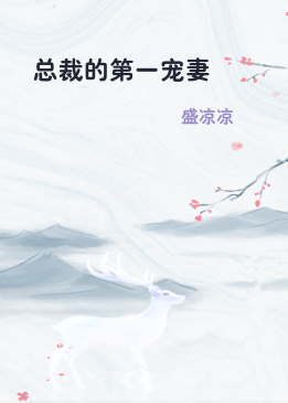 总裁的第一宠妻