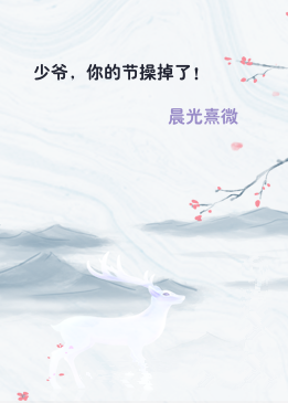 少爷，你的节操掉了！
