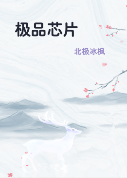 极品芯片