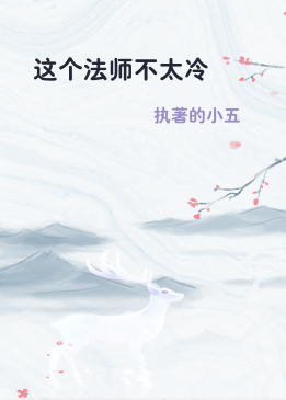 这个法师不太冷