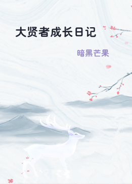 大贤者成长日记