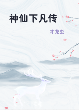 神仙下凡传