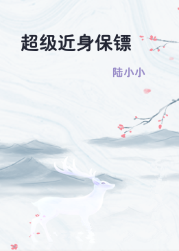 超级近身保镖