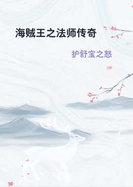 海贼王之法师传奇