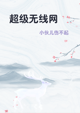 超级无线网