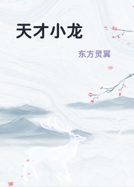 天才小龙