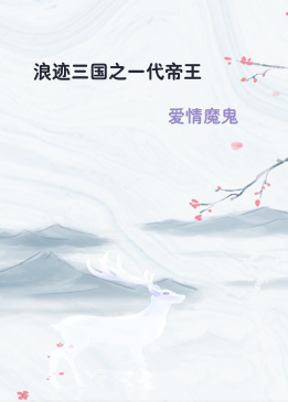 浪迹三国之一代帝王