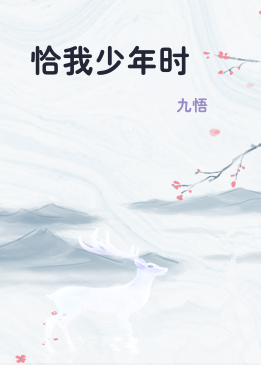 恰我少年时