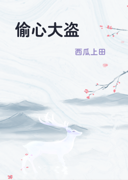 偷心大盗