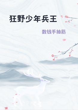 狂野少年兵王